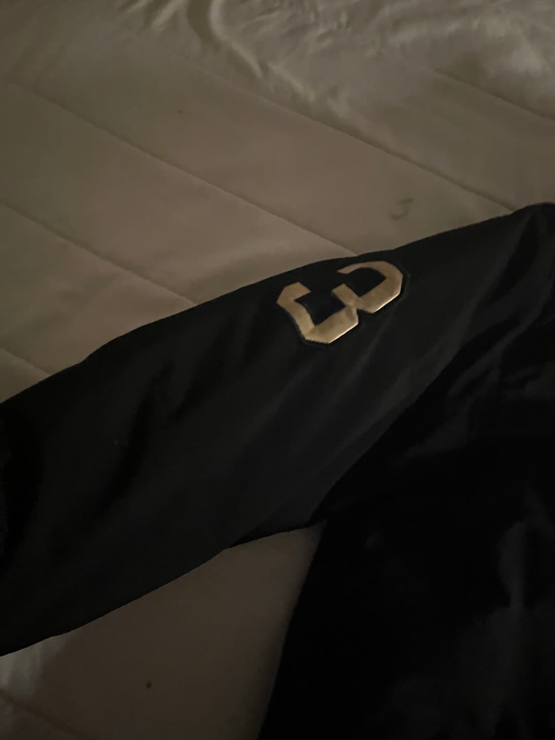 폴로 빅포니 패딩 상품이미지2