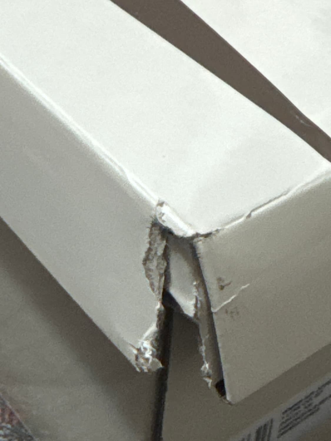 나이키 에어 조던1 로우 OG SP 카나리 W285 새상품 상품이미지4