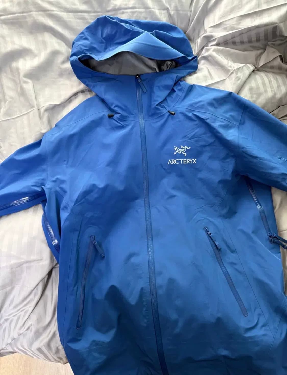 [급] 아크테릭스 베타 lt md 바이탈리티 상품이미지1