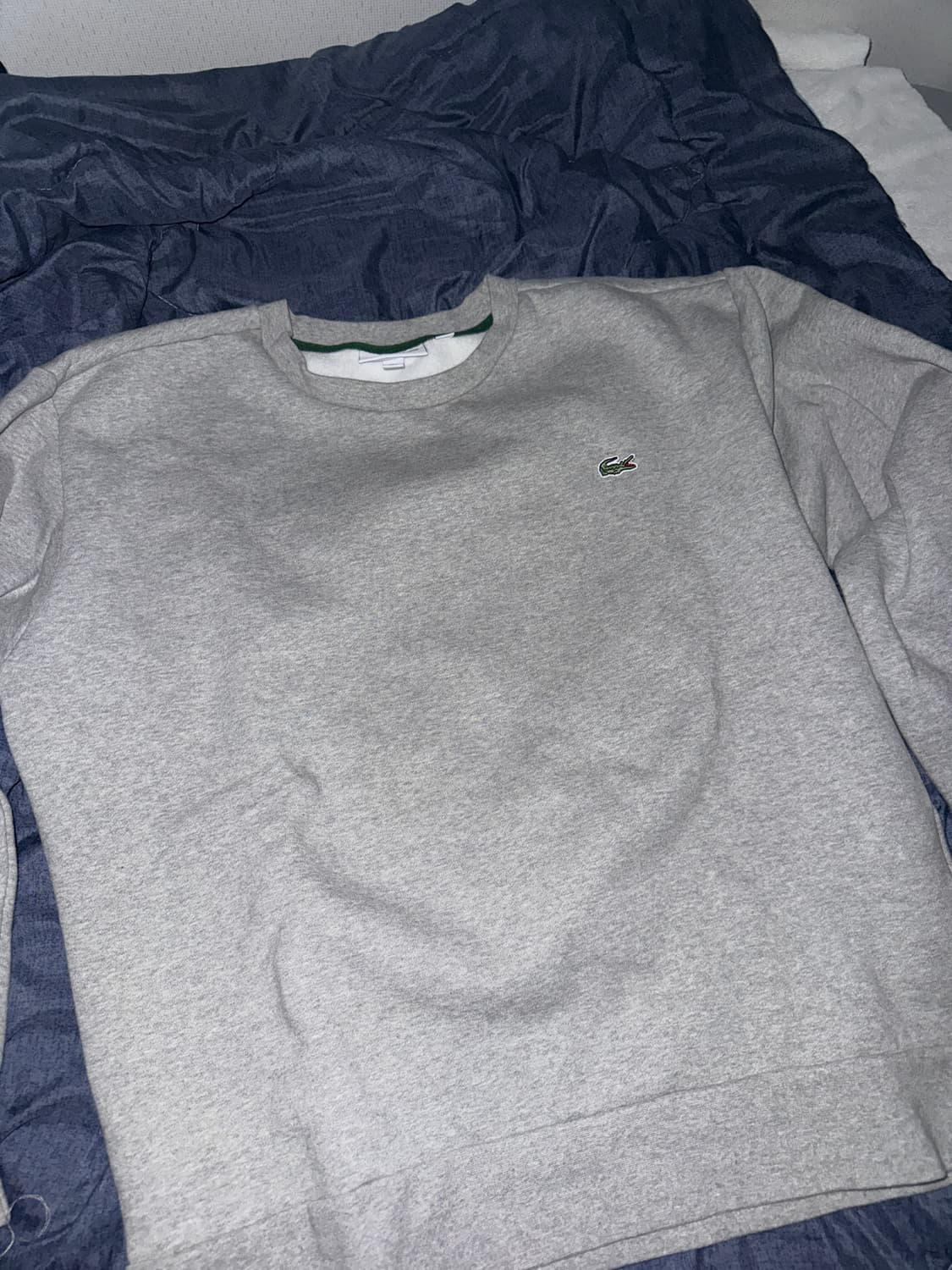 라코스트 기모 맨투맨 상품이미지1