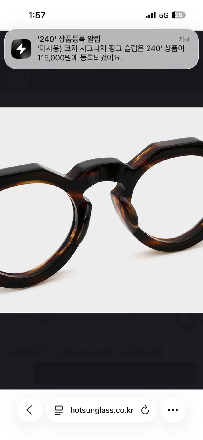 Guepard GP15 havana glasses 상품이미지5