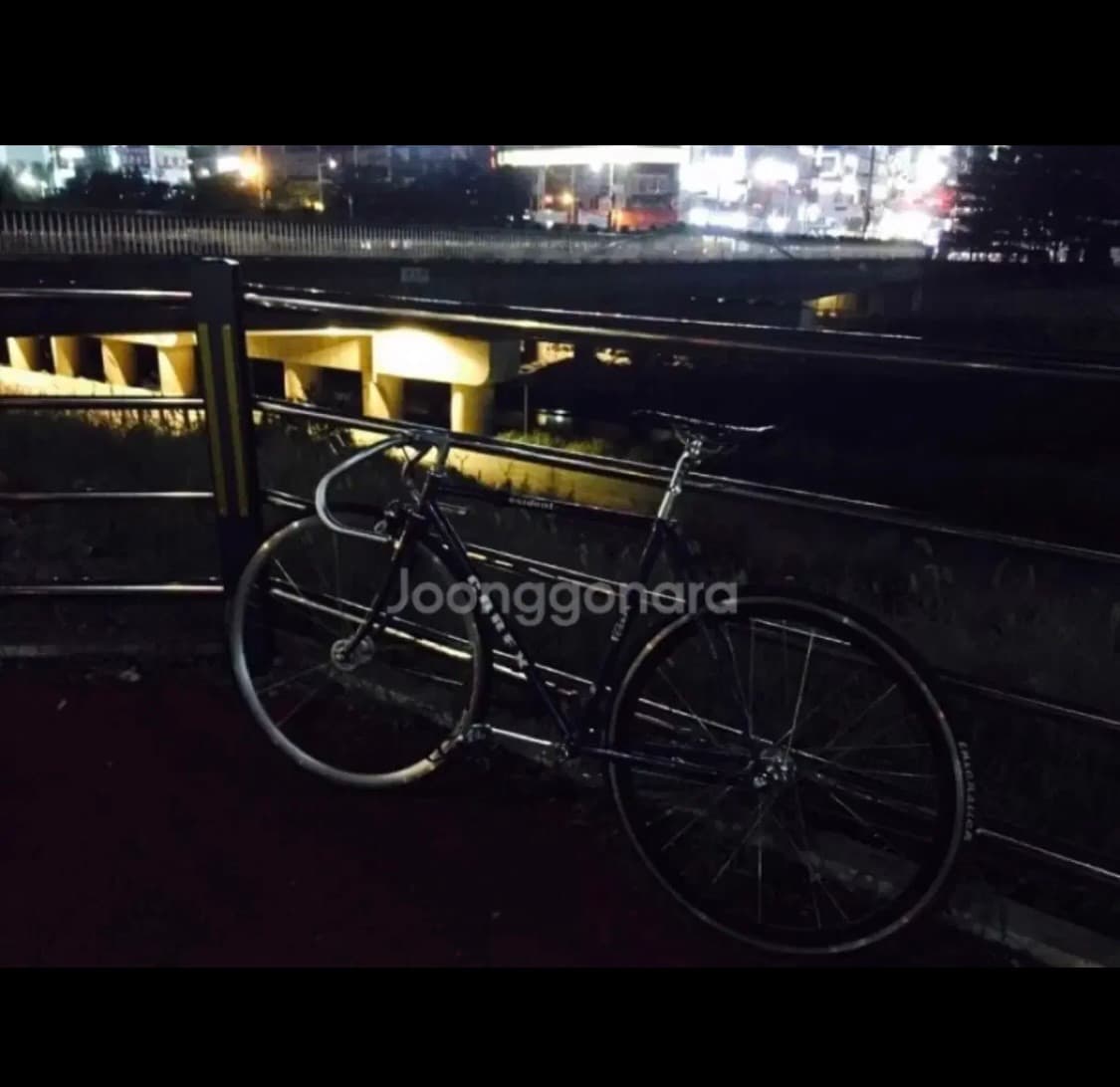 코렉스 프레지던트 12년식 52인치 상품이미지5