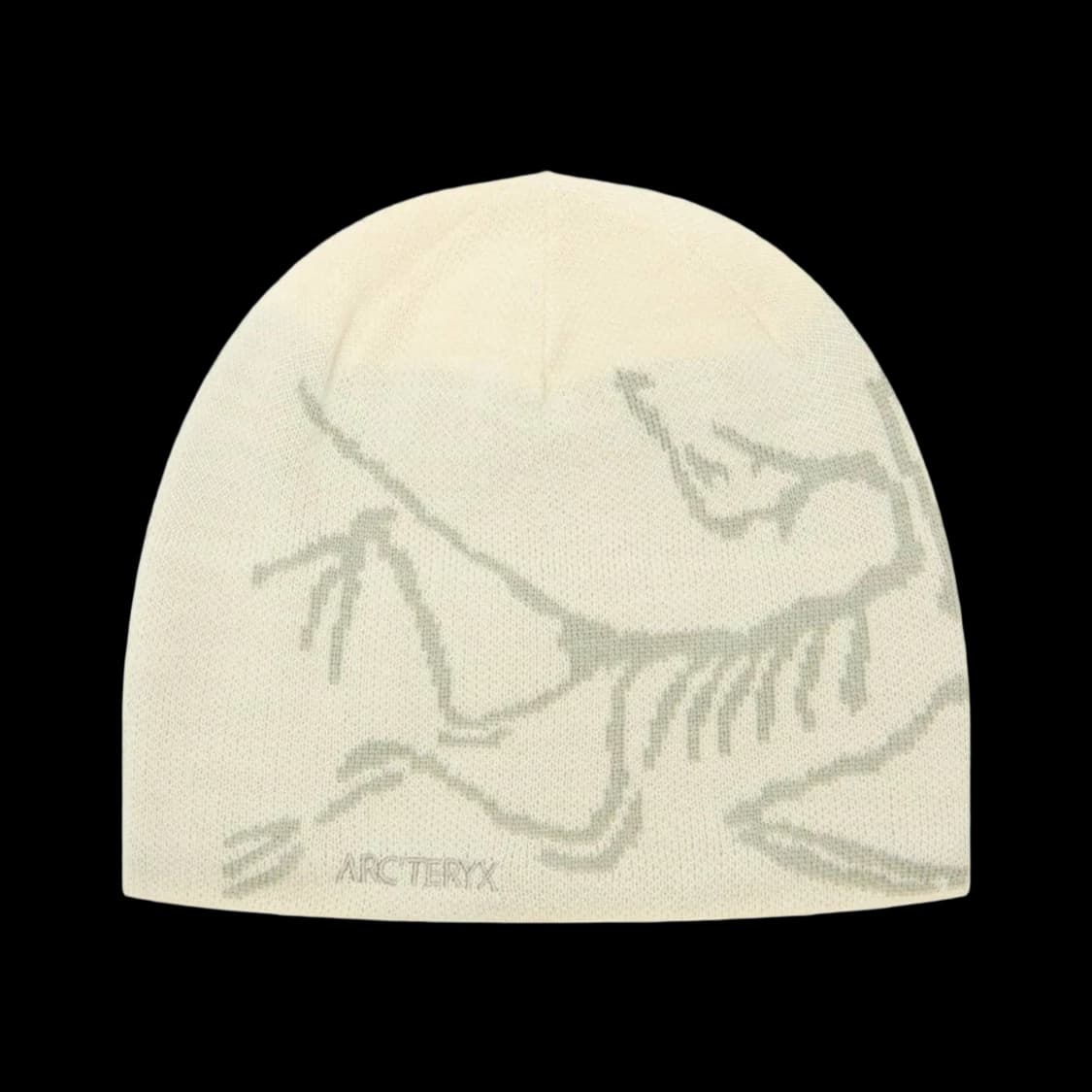 아크테릭스 비니 버드 헤드 토크 씨 솔트 해비타트 상품이미지2