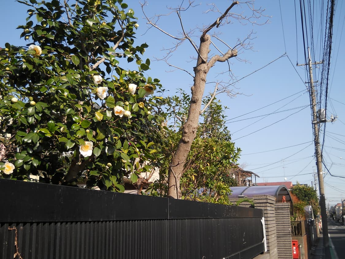 Nikon Coolpix L21 Silver 작례있음 상품이미지3