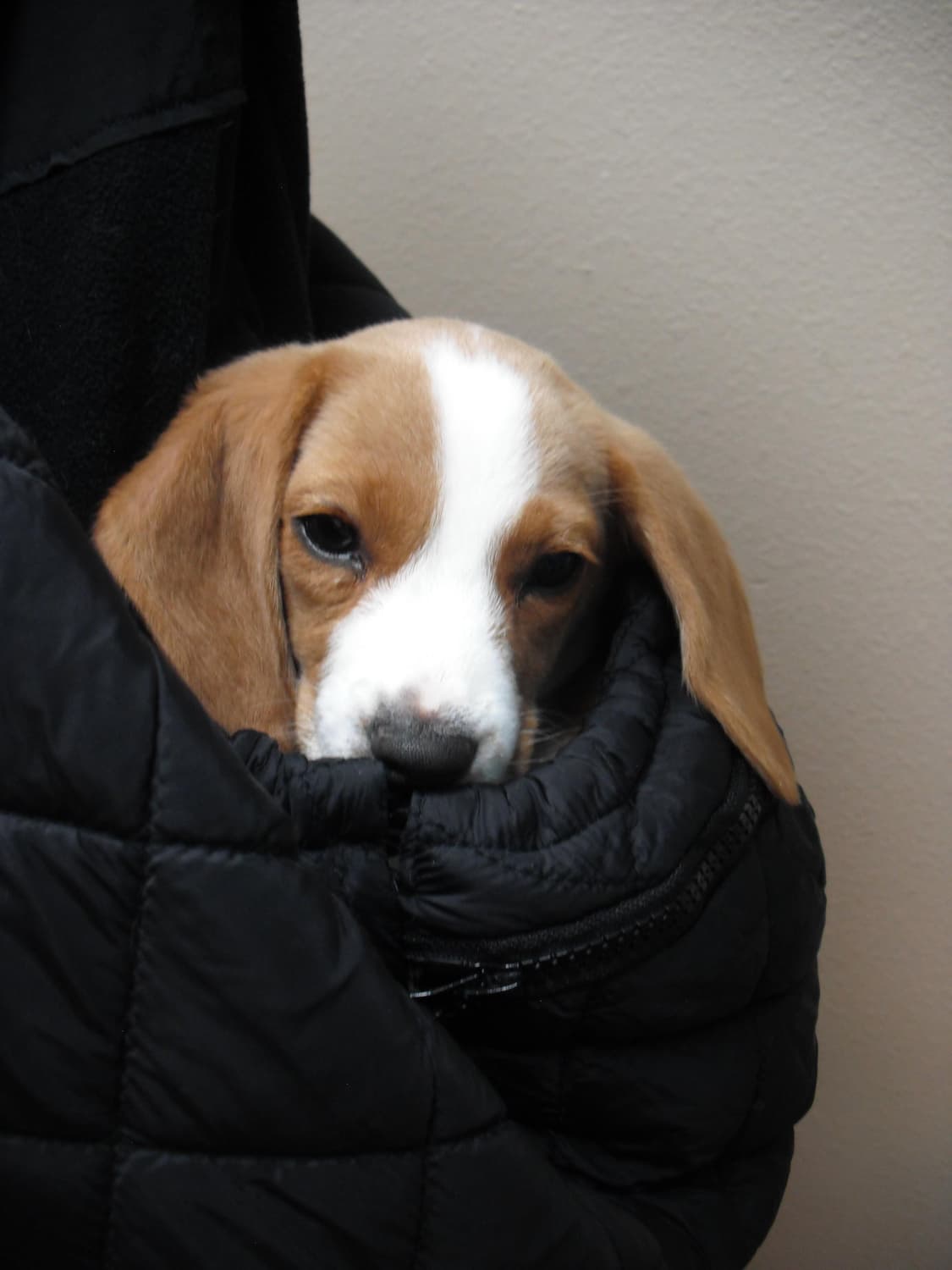 Fujifilm finepix j20 파인픽스 j20 디카 카메라 상품이미지9