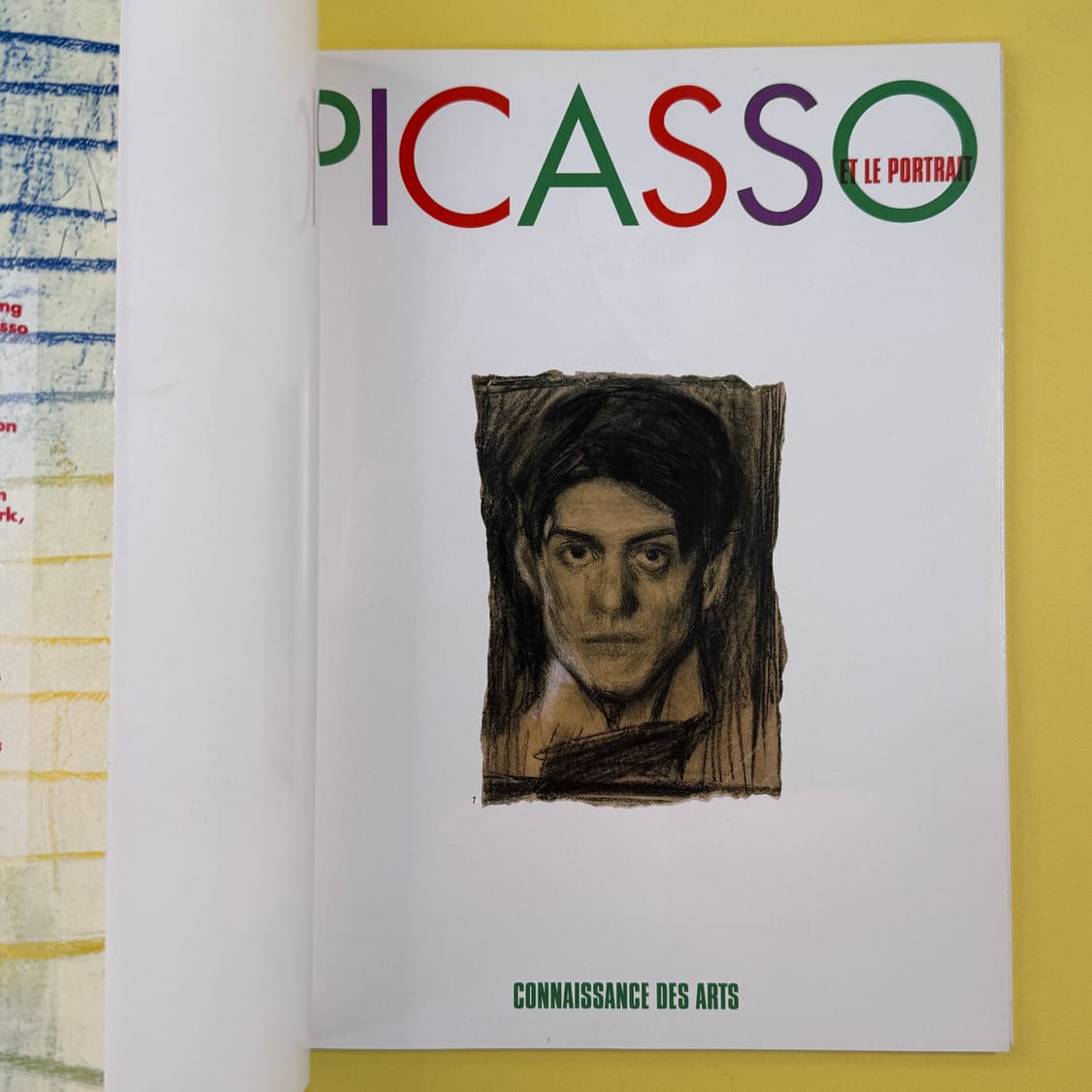 피카소 도록 PICASSO ET LE PORTRAIT 아트북 전시회 미술 상품이미지2