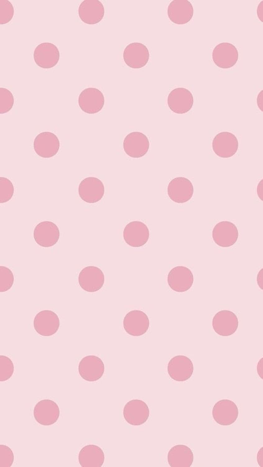 결제창 상품이미지1