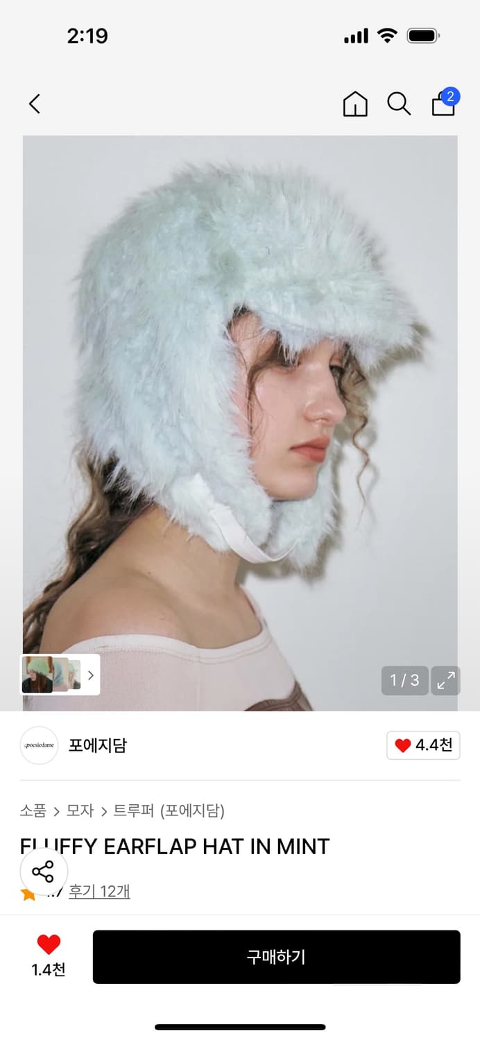 포에지담 플러피 이어플랩 햇 인 민트 상품이미지2