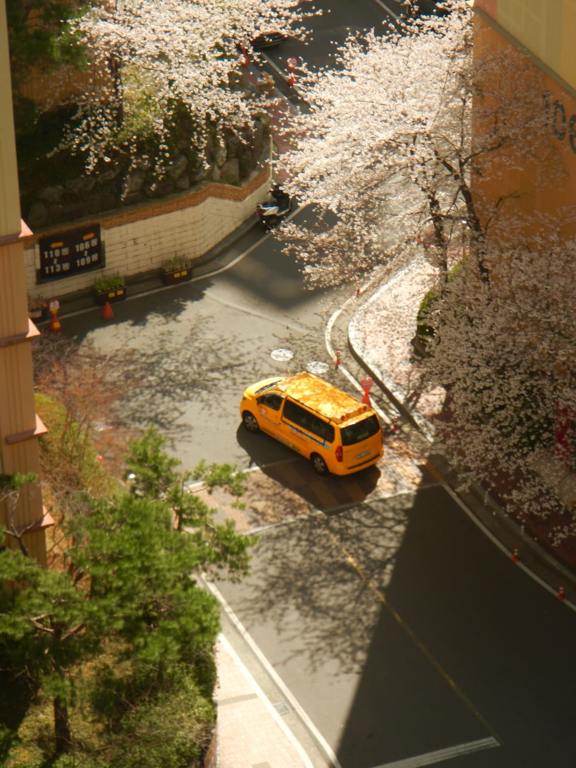 니콘 쿨픽스(Nikon coolpix) aw100 상품이미지4