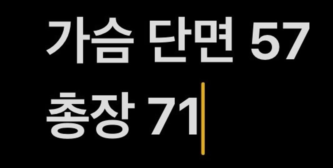 [정품/105] 아디다스 독일 축구 국대 트랙탑 져지 b14 상품이미지9