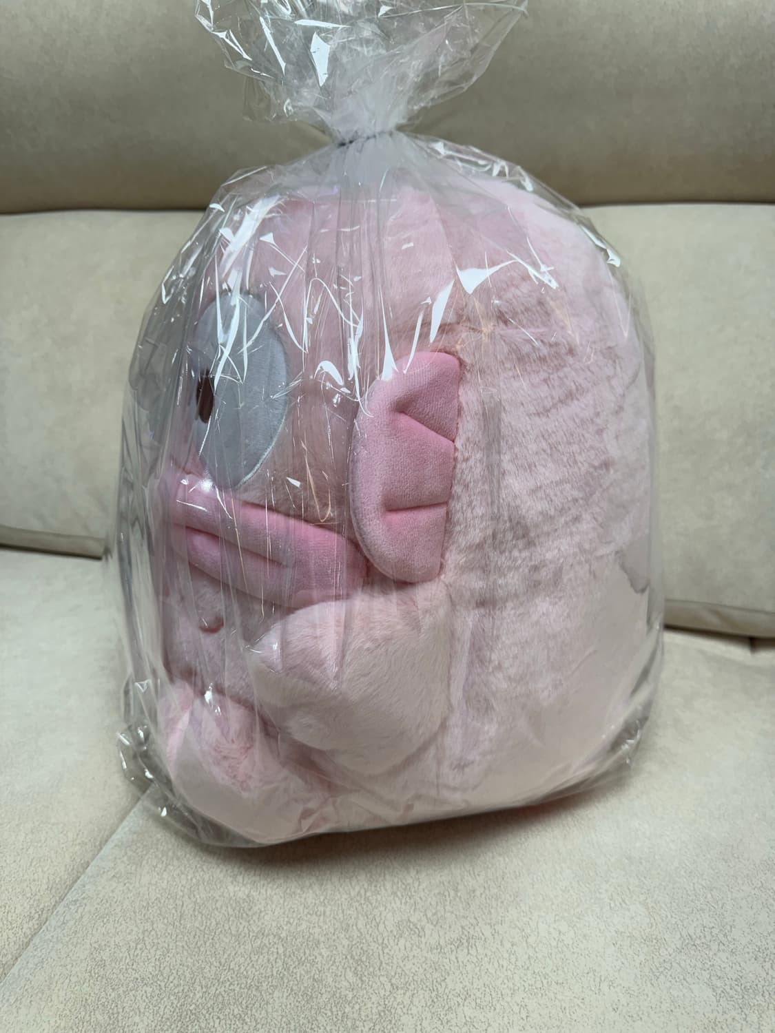 핑크한교동 상품이미지5