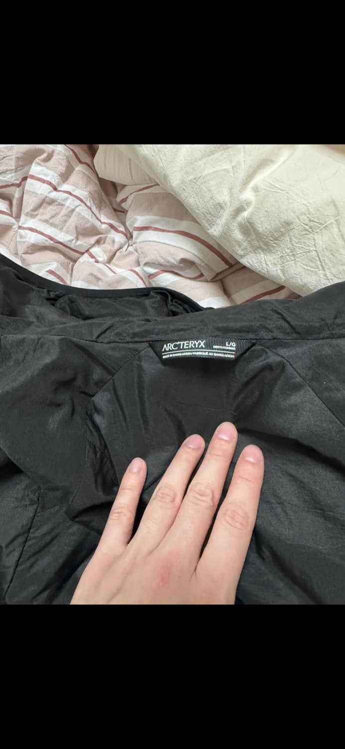 아크테릭스 아톰lt 후디 상품이미지2