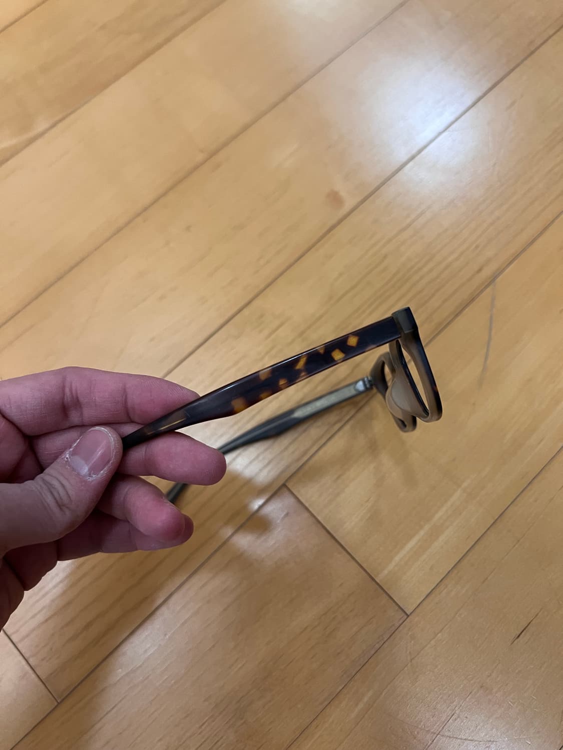 Alo 안경 뿔테 상품이미지7