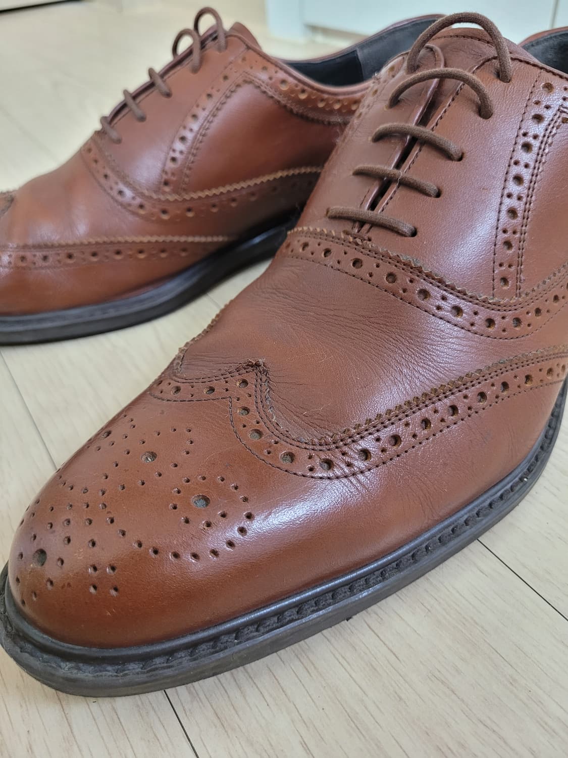 엘칸토 Elcanto 남자 윙팁 구두 로퍼 280 브라운 상품이미지6