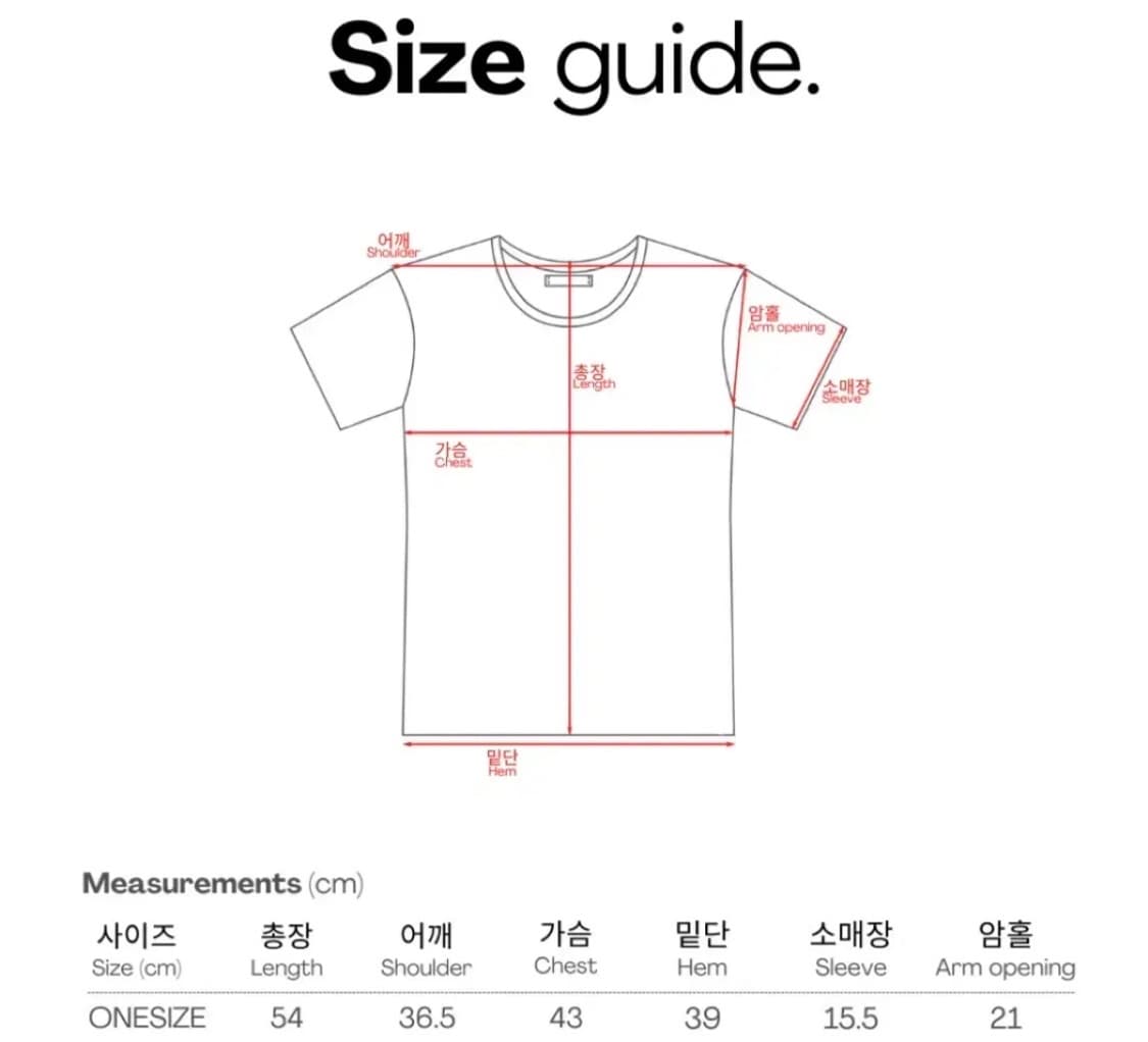 네비 nevy 케니 베이직 크롭 반팔셔츠 상품이미지7