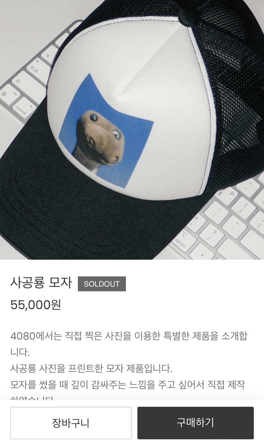 4080 사공룡 볼캡 모자 상품이미지5