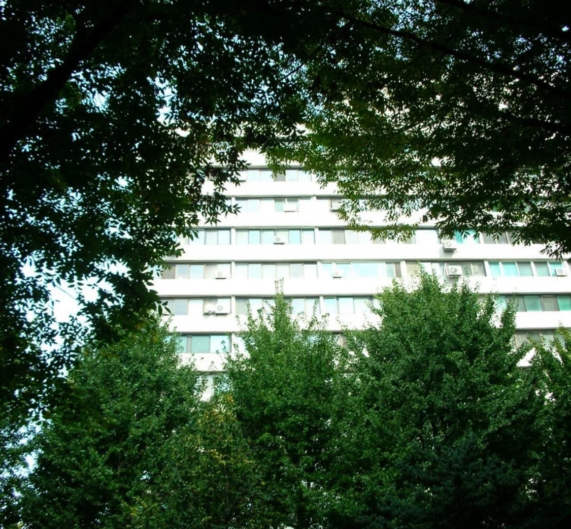 노제카메라/작례O) 니콘 쿨픽스 S3 nikon coolpix S3 상품이미지5