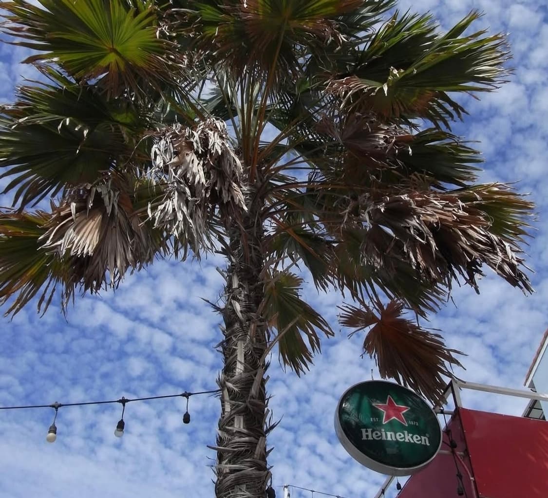 ricoh R10 실버 ✨ 감성 스냅에 딱 좋은 디카 상품이미지10