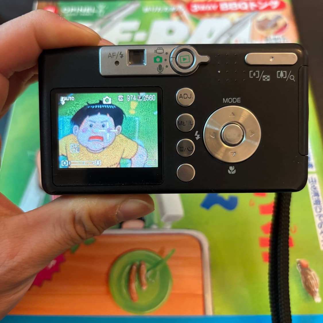 Rare작례🅾️리코 카플리오 R1v 디카 디지털카메라 상품이미지3