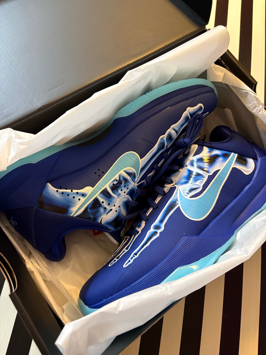 코비 5 엑스레이 상품이미지1