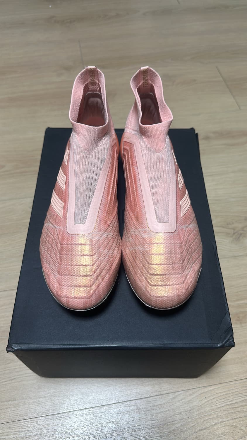 프레데터 18+ 상품이미지1