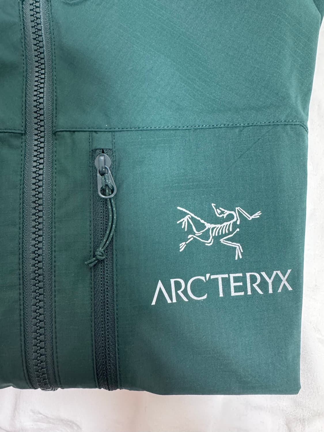 아크테릭스 스쿼미시 후디 피테아스 상품이미지2