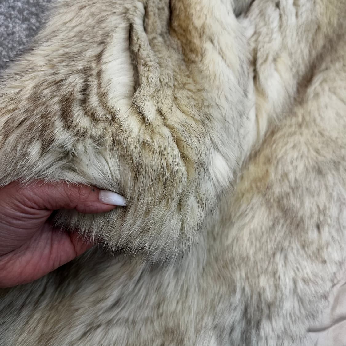 화이트 브라운 믹스컬러 사가폭스 퍼자켓L 상품이미지5