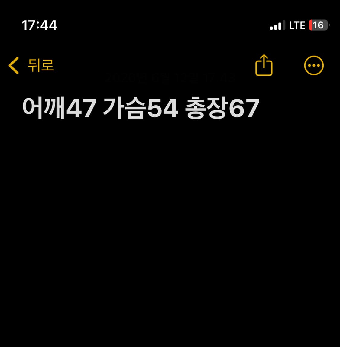 폴로 랄프로렌 스트라이프 카라티 상품이미지9
