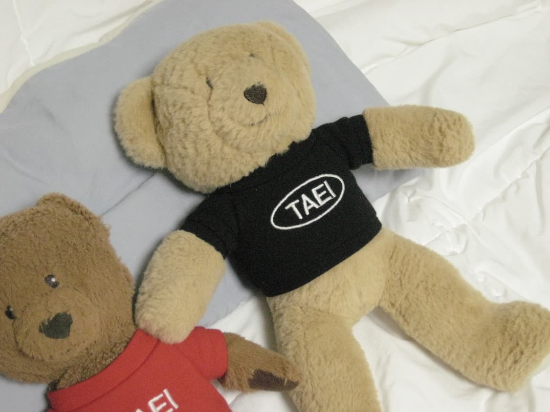 Canon IXUS 70 익서스 70 상품이미지10