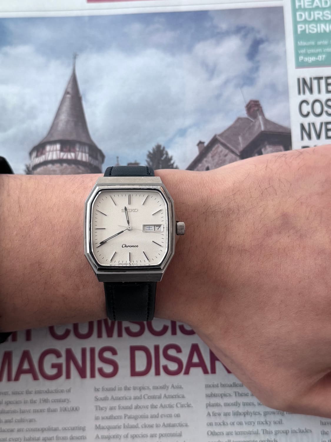 세이코 Seiko Chronos 팔각 스퀘어 데이데이트 상품이미지4