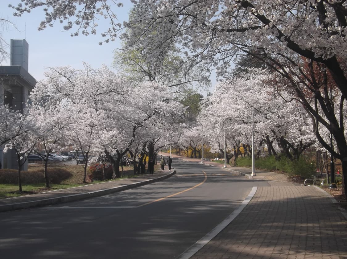 Fujiflim finepix jx400 후지필름 파인픽스 JX400 상품이미지6