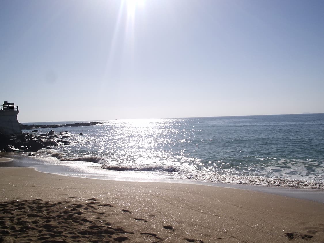 올림푸스 카메디아 c-160 상품이미지3