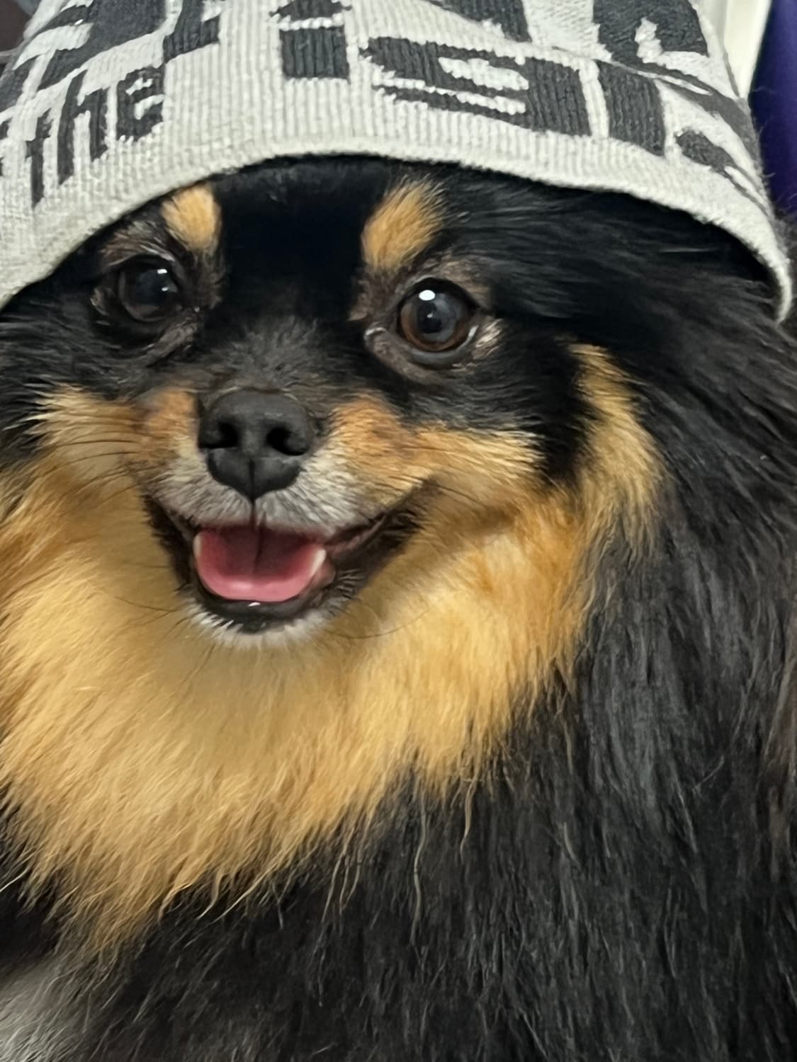 teket beanie 상품이미지3