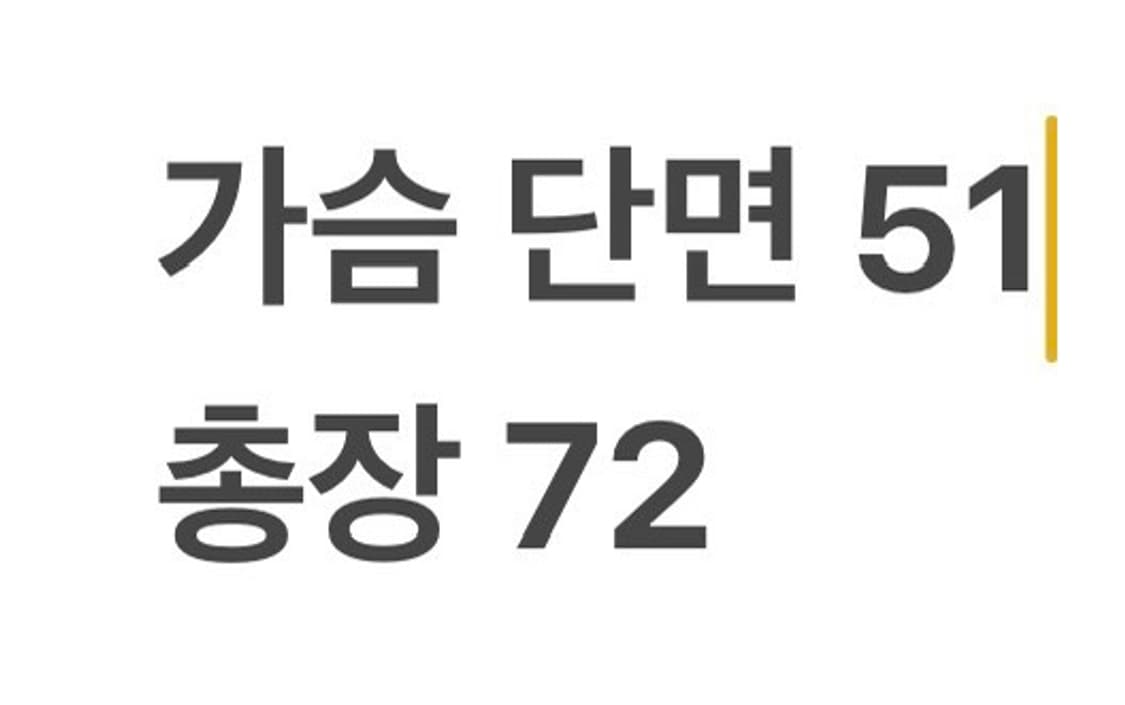 [정품/XL] 폴로 랄프로렌 빅포니 반팔 카라티 오렌지 b12 상품이미지6