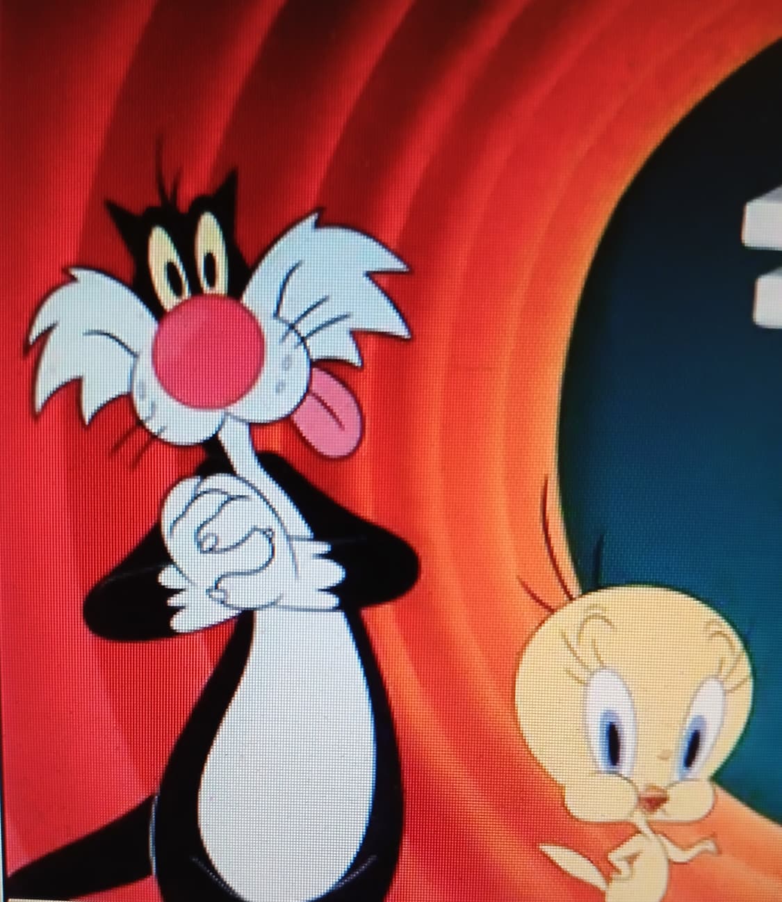 워너 브라더스 루니툰스 아노락 점퍼 자켓 110-새상품  상품이미지10