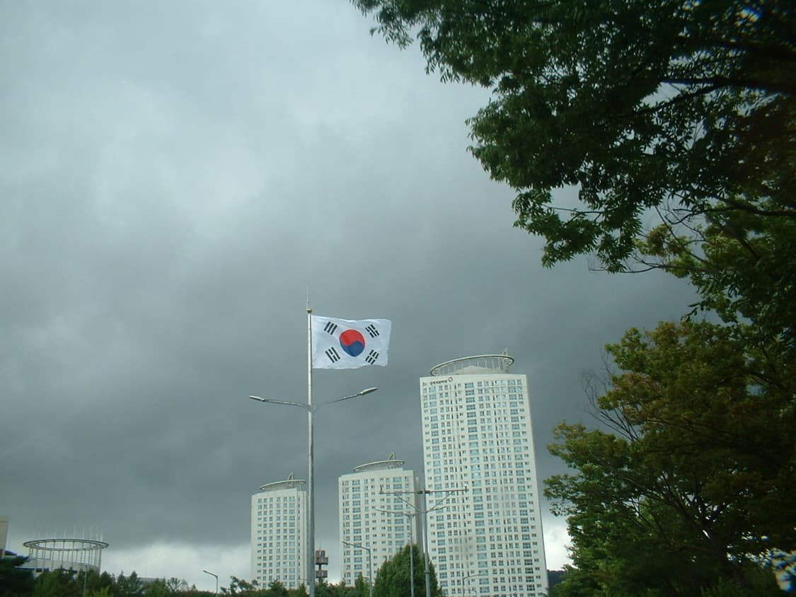 입문자 추천용! 파인피스 a202 상품이미지4