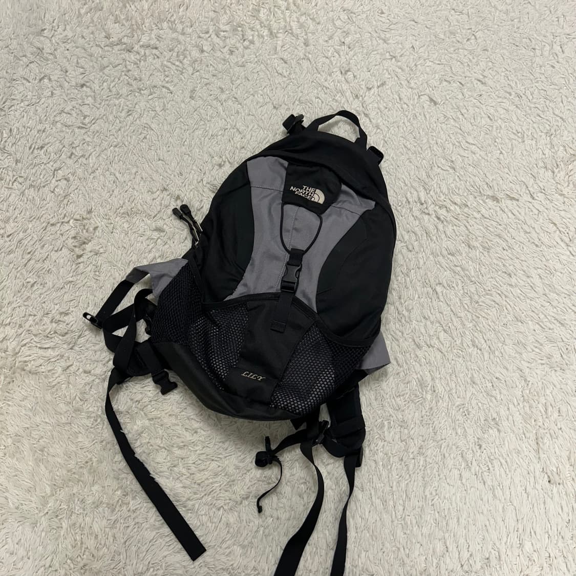 노스페이스 릴리 백팩 상품이미지1