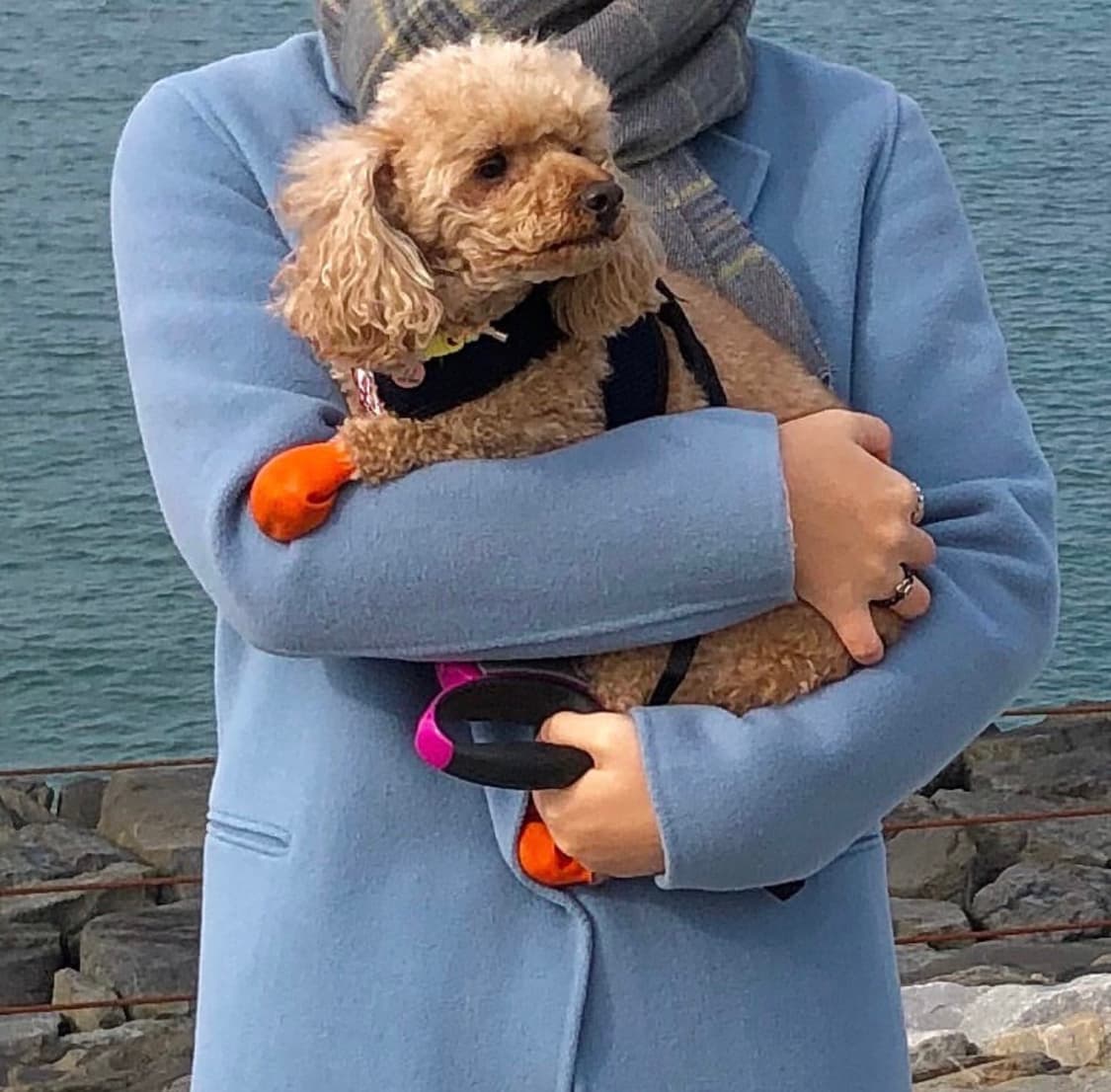 산드로 하늘색 울 코트 상품이미지1