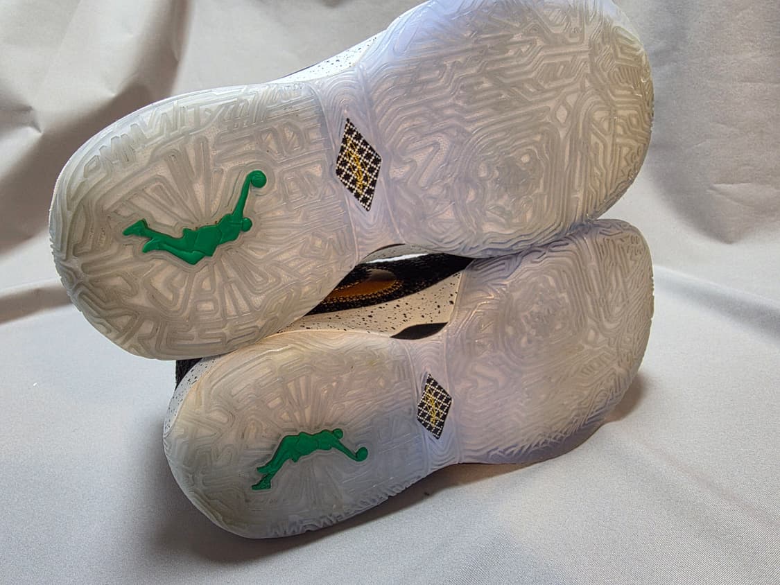 나이키 르브론xx 20 [240mm] 상품이미지5