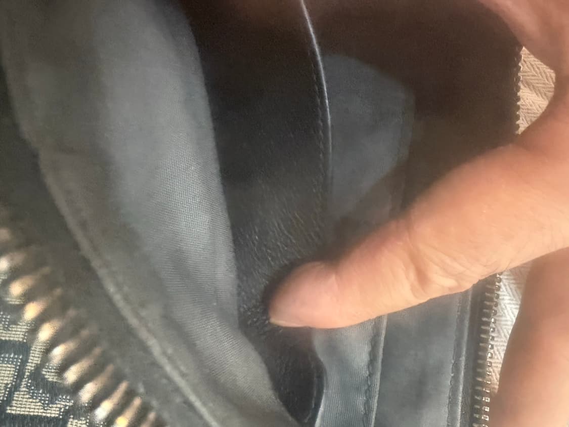 정품 디올 오빌리크 차카드 클러치 팝니다 상품이미지9