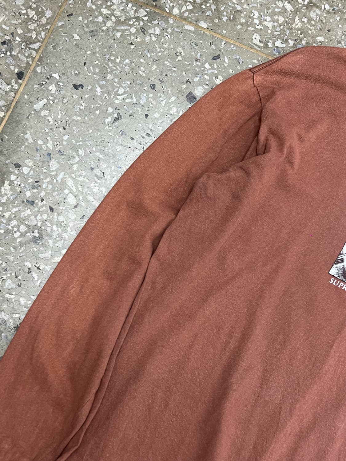 Supreme The Crow Brown Longsleeve 상품이미지3