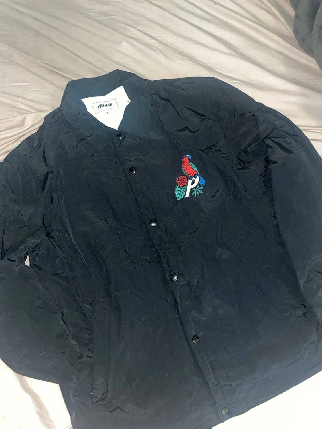 20FW 팔라스 패럿 팔라스-3 코치 자켓 블랙 상품이미지3