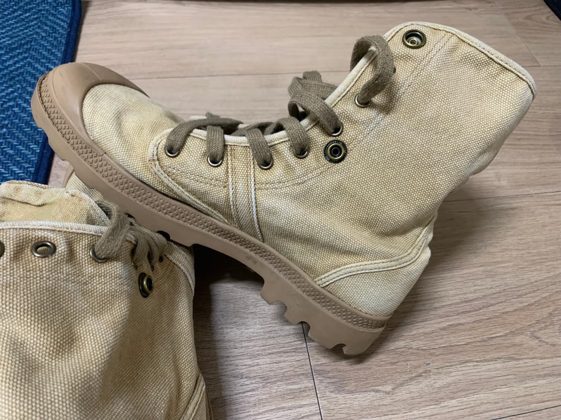 팔라디움 팜파하이 사막화 판매 합니다 상품이미지4