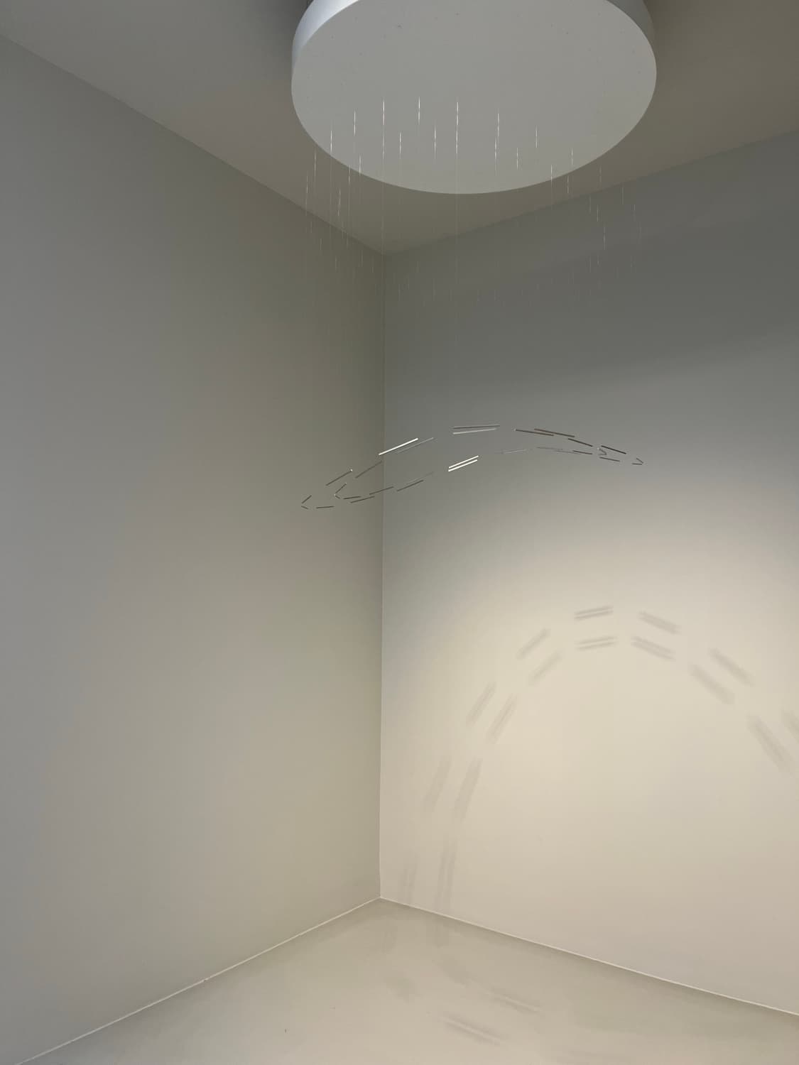 르메르 애쉬그레이 상품이미지1