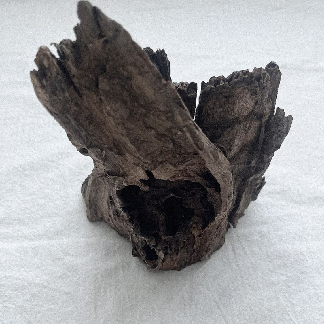 wood object 038 상품이미지5