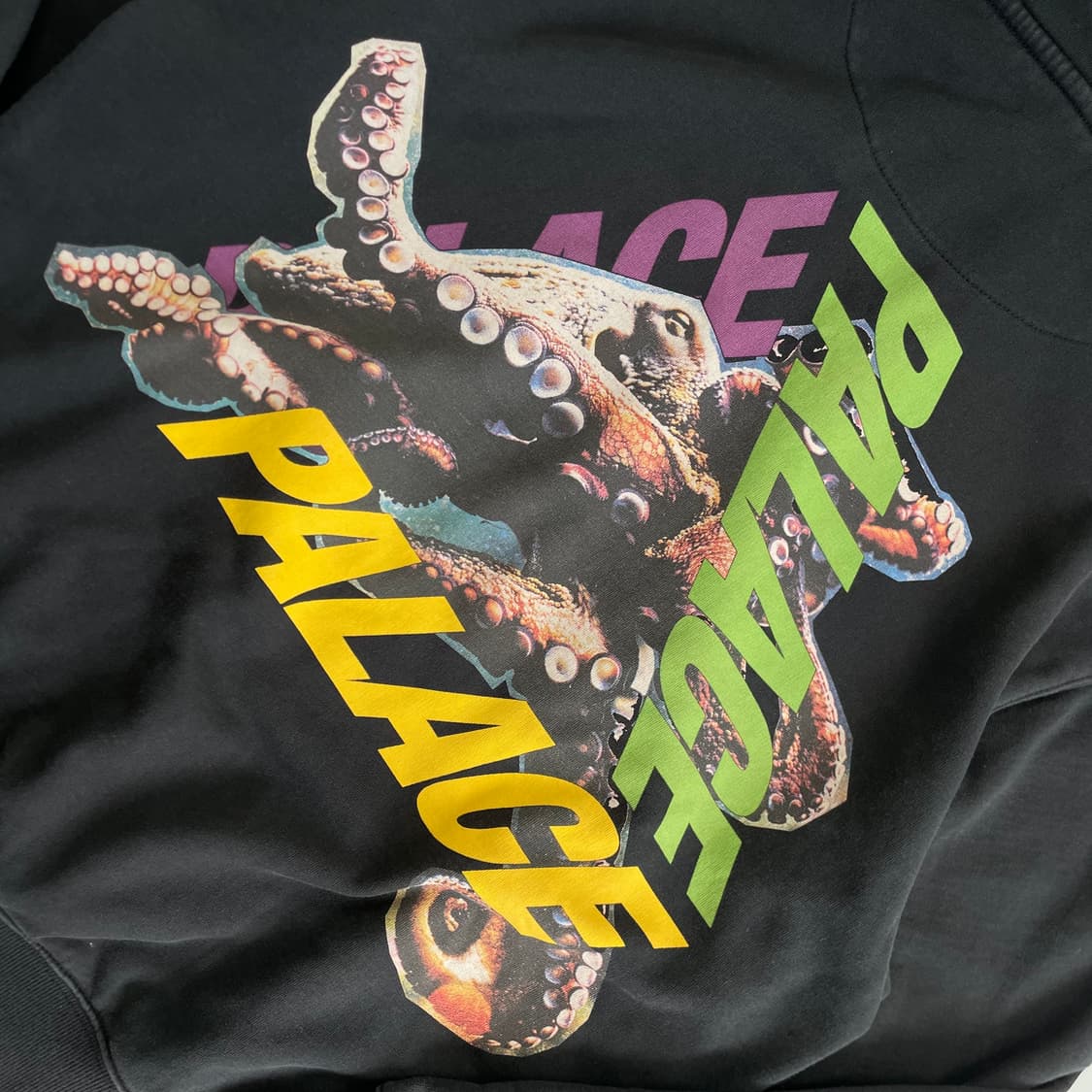 Palace  팔라스 옥토 포레스트 후드티 상품이미지4