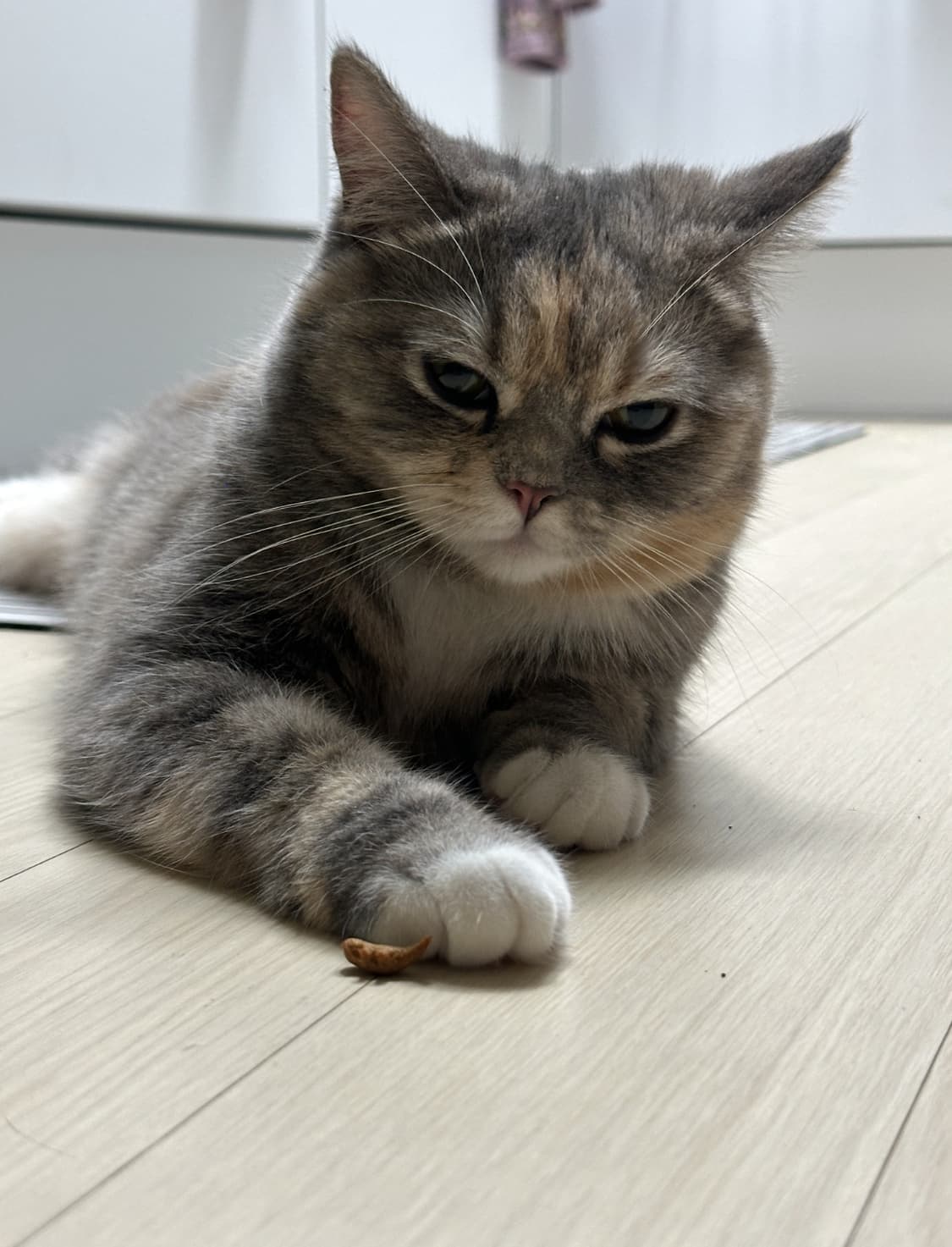 alstkd님 결제창 상품이미지1