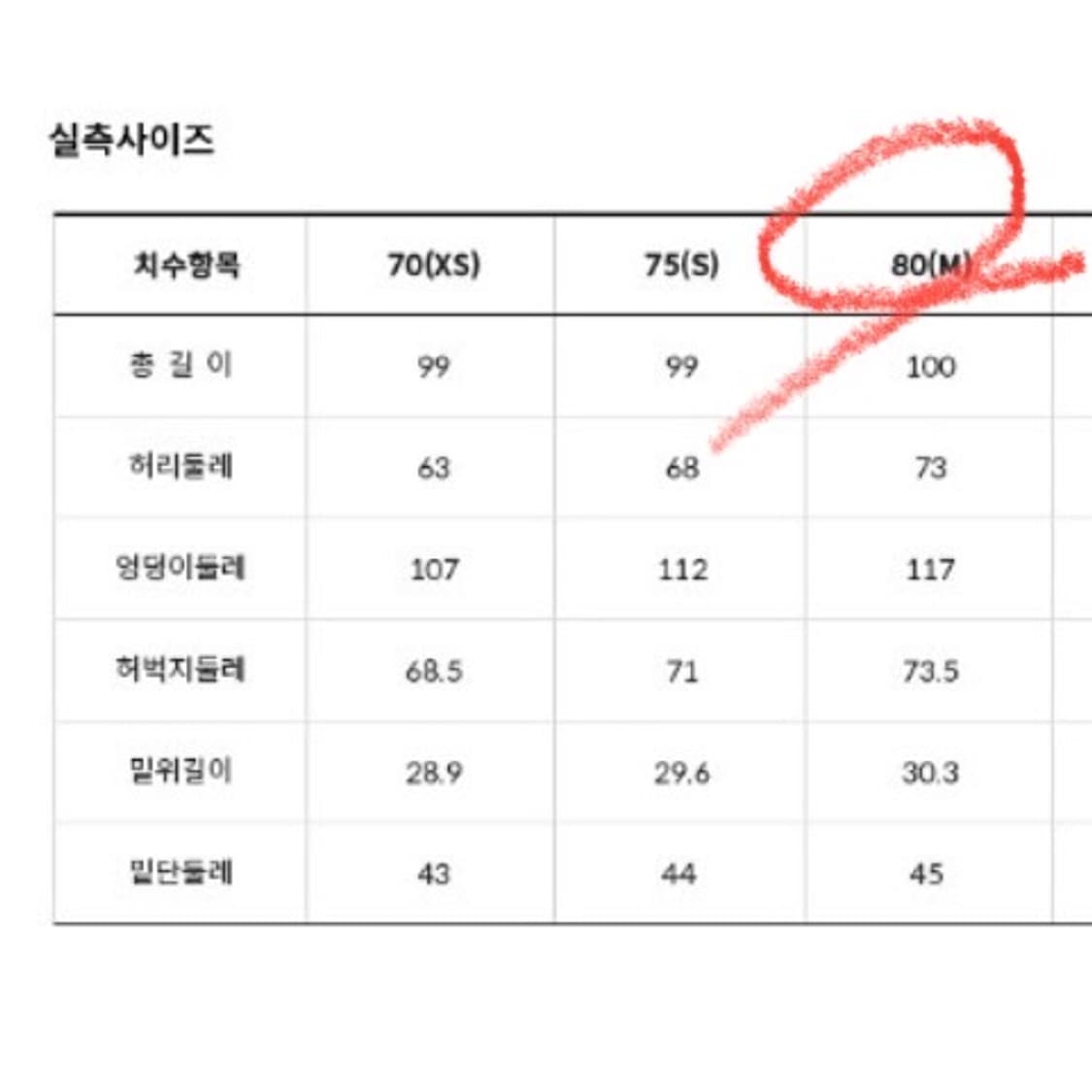 노스페이스 1994 팬츠 80(M) 상품이미지4