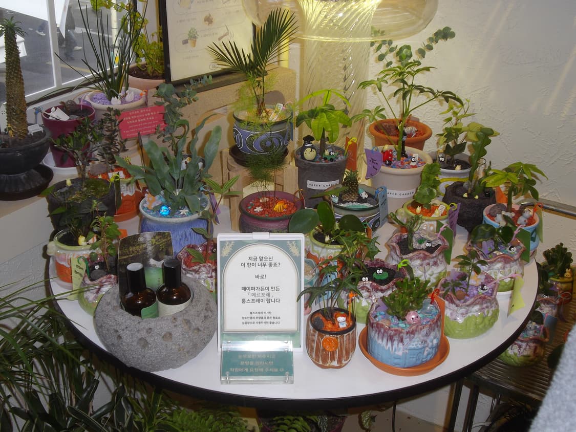 풀박 펜탁스 옵티오 rs1000 (아이브레이 디카) 작례o 상품이미지3