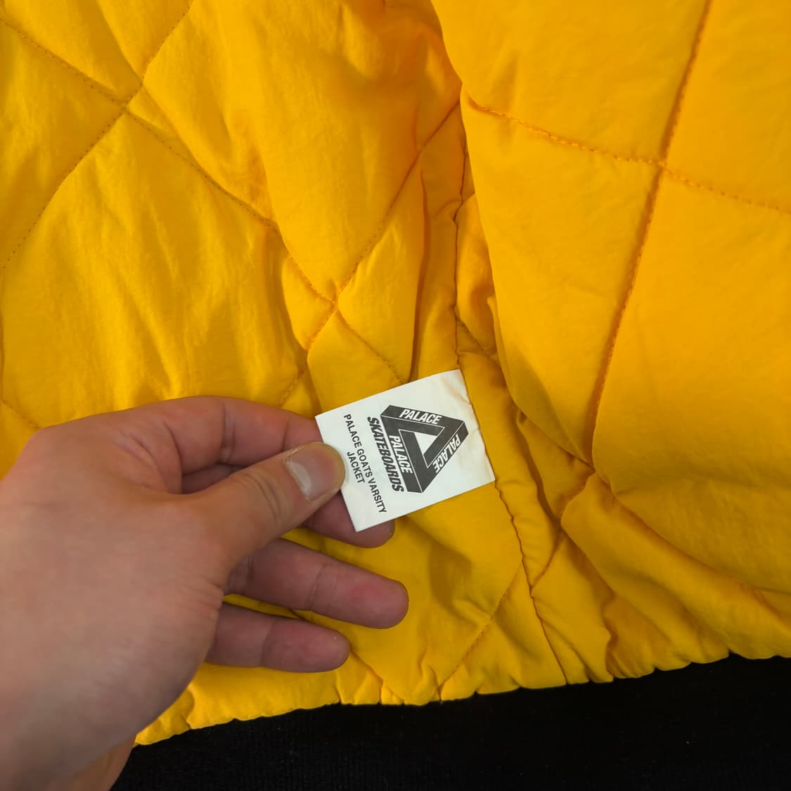 105 팔라스 22ss 고트 바시티 자켓 상품이미지6